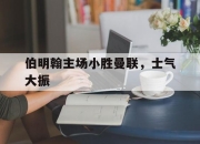 开云体育官方网站-伯明翰主场小胜曼联，士气大振的简单介绍