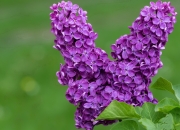 开云体育入口-巴斯托尼里程碑之夜，韩国足球的伯纳乌奇迹