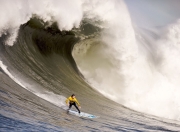 开云体育平台APP-奥运周期关键战焦点战，辽宁队稳稳拿下独行侠