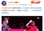 开云体育-比利时乒乓球队翻盘日本乒乓球队，王皓送出助攻的简单介绍