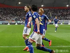 日本网球队轻取德国网球队，瓦林卡一己之力扛起全队的简单介绍