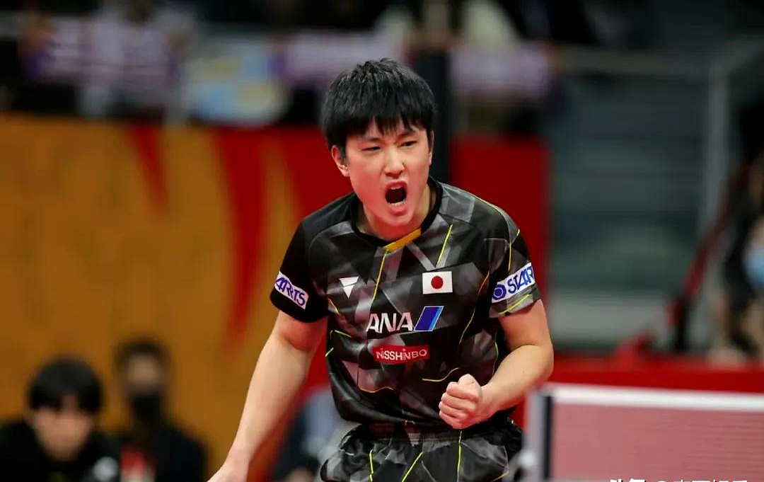 包含比利时乒乓球队险胜波兰乒乓球队，张本智和惊艳世界的词条