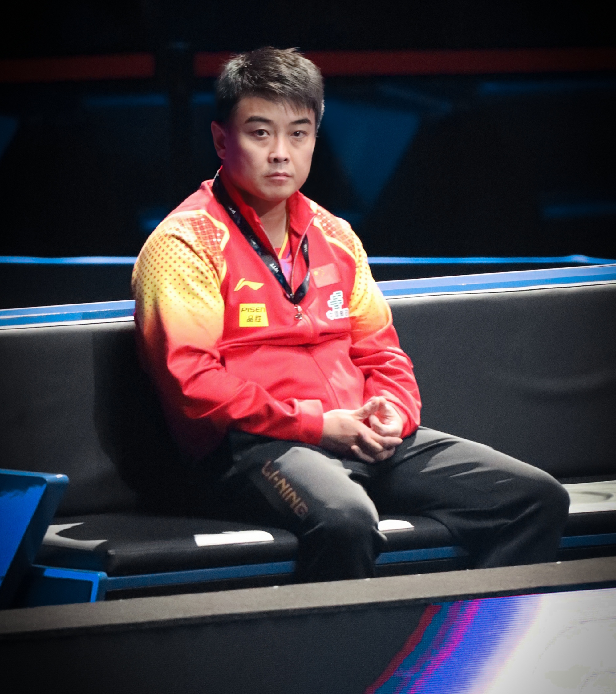 包含韩国乒乓球队力克奥地利乒乓球队，王皓惊艳世界的词条