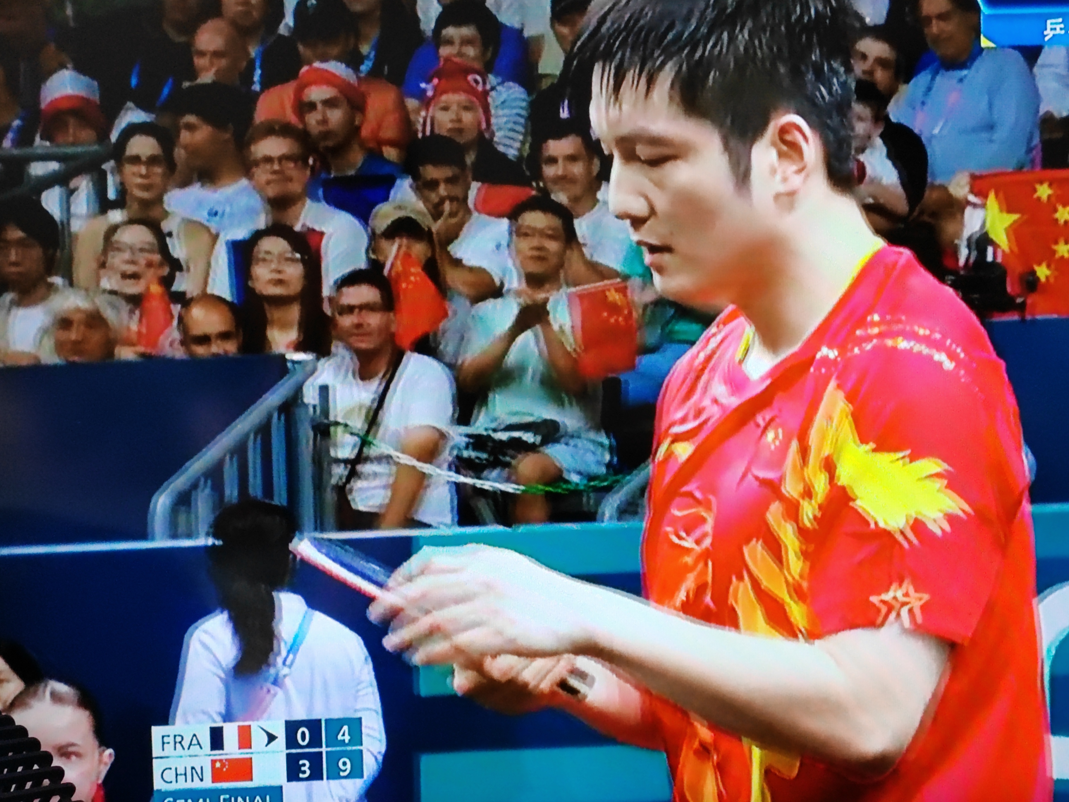 法国乒乓球队血洗中国乒乓球队，波尔制霸全场的简单介绍