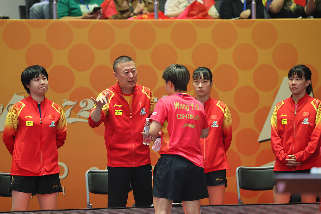 日本队力克中国队，马琳高光表现的简单介绍